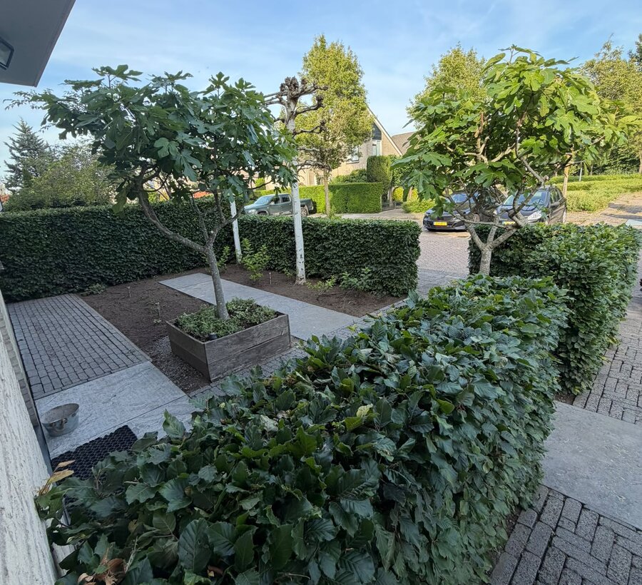 Snoeiwerk en tuinonderhoud door Tuin Perfect